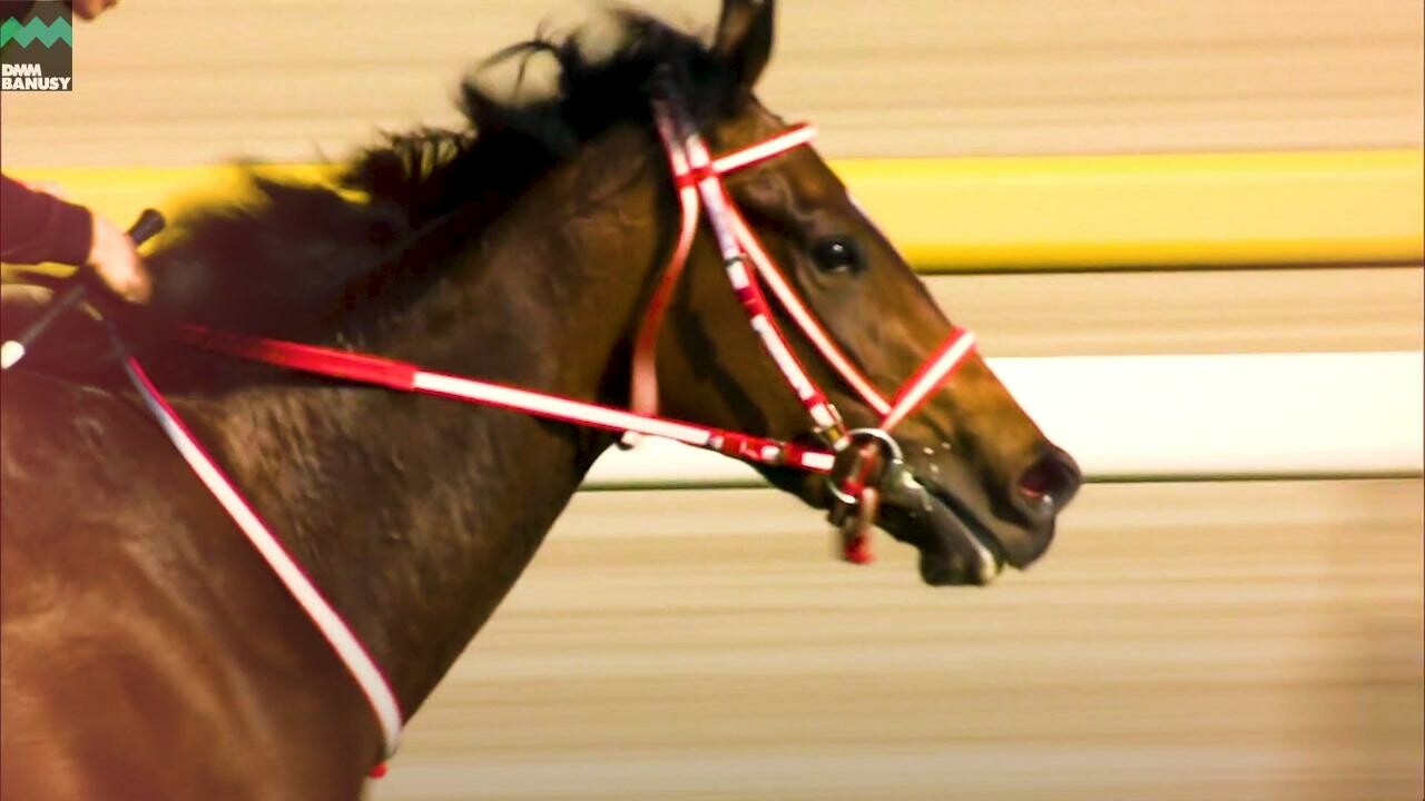 ラヴズオンリーユー エリザベス女王杯までの道のり