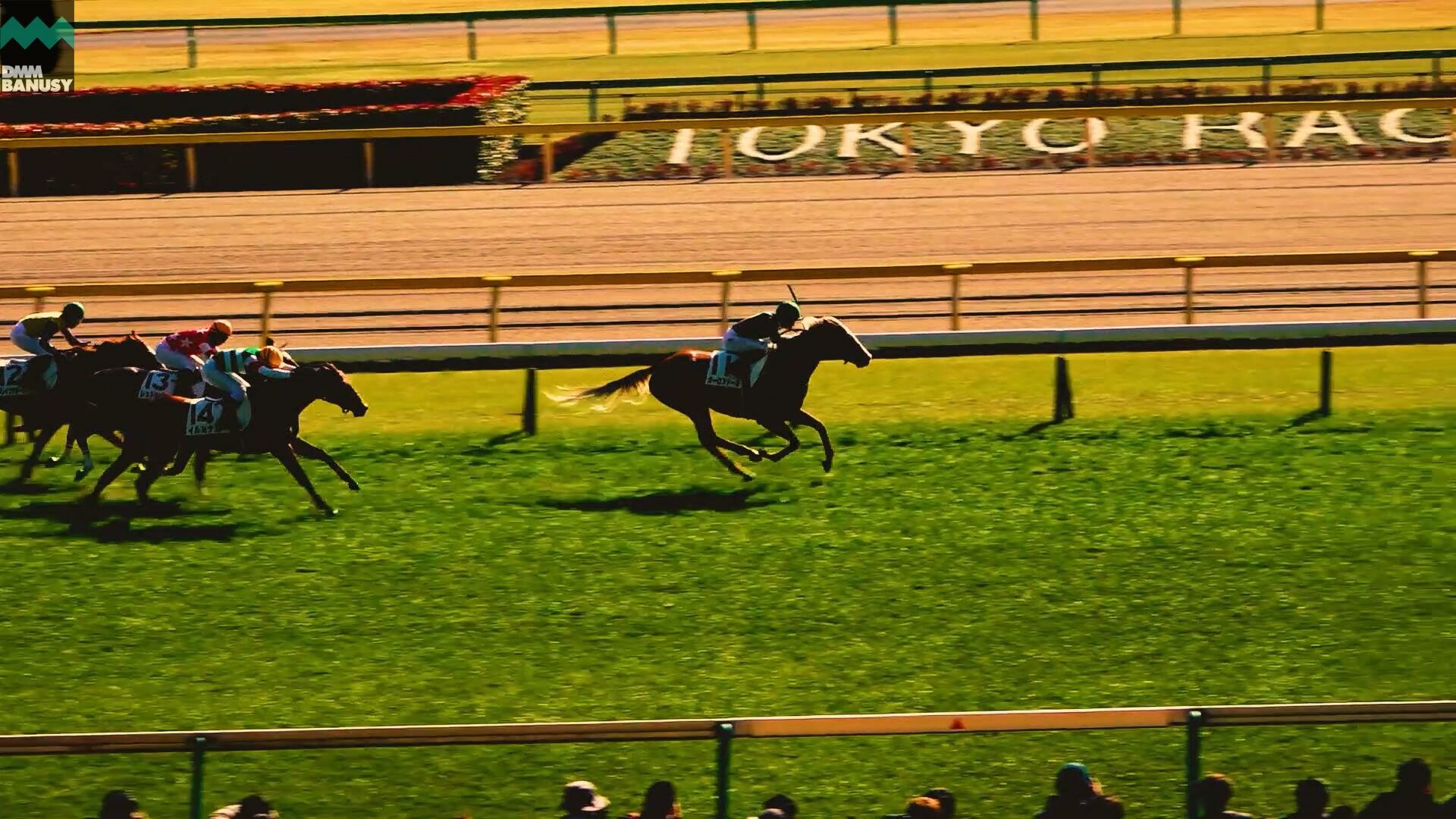 オーロアドーネ 復帰までの道のり