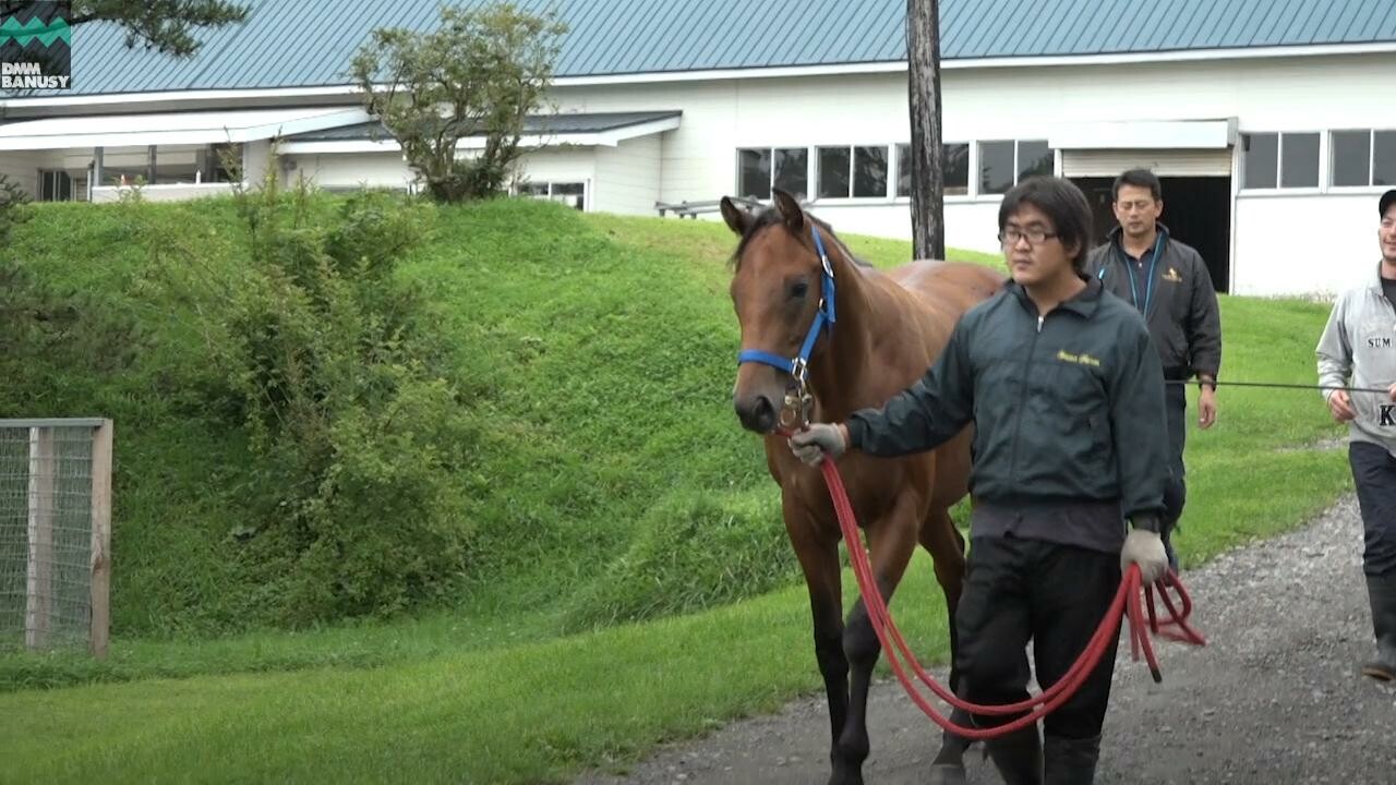 スターズプレミア ～育成厩舎へ～