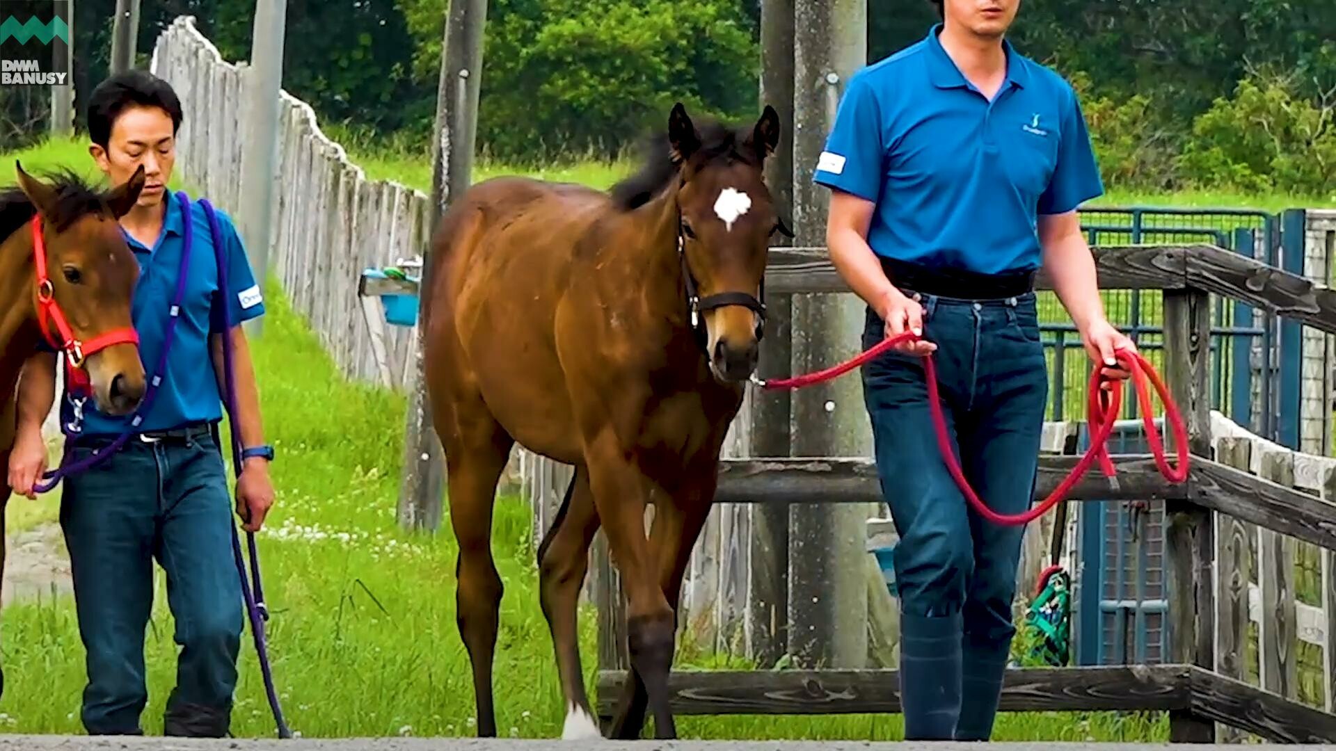 タイムトゥヘヴン デビューまでの道のり