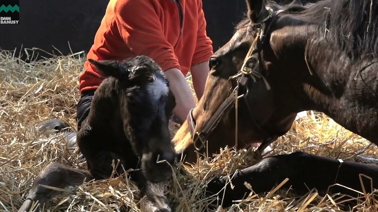 タイムトゥヘヴン 誕生の瞬間