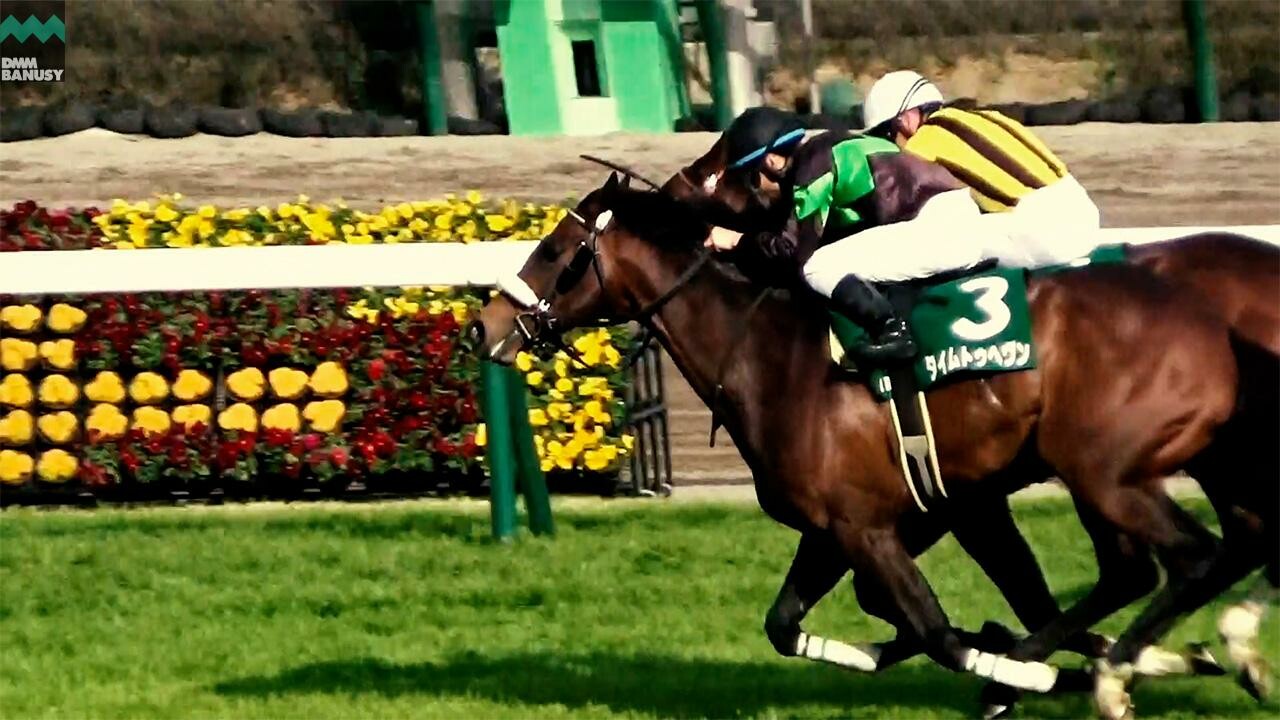 タイムトゥヘヴン 京都金杯までの道のり