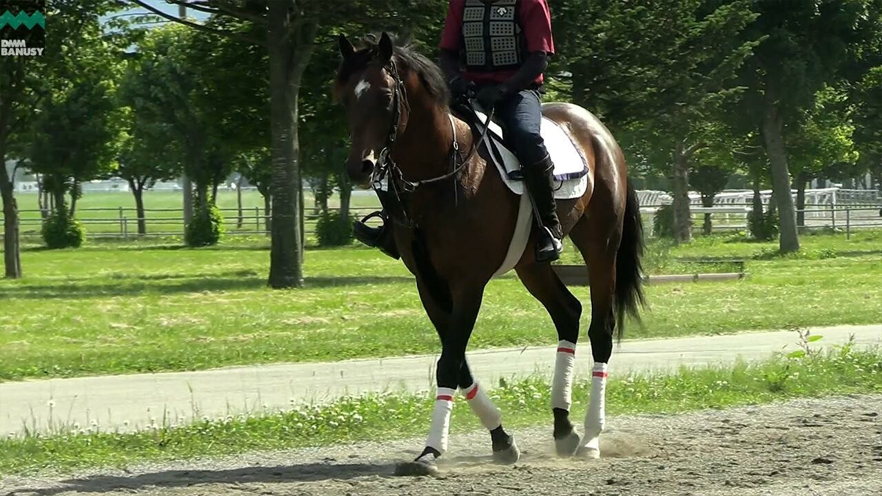 タイムトゥヘヴン 富士ステークスまでの道のり