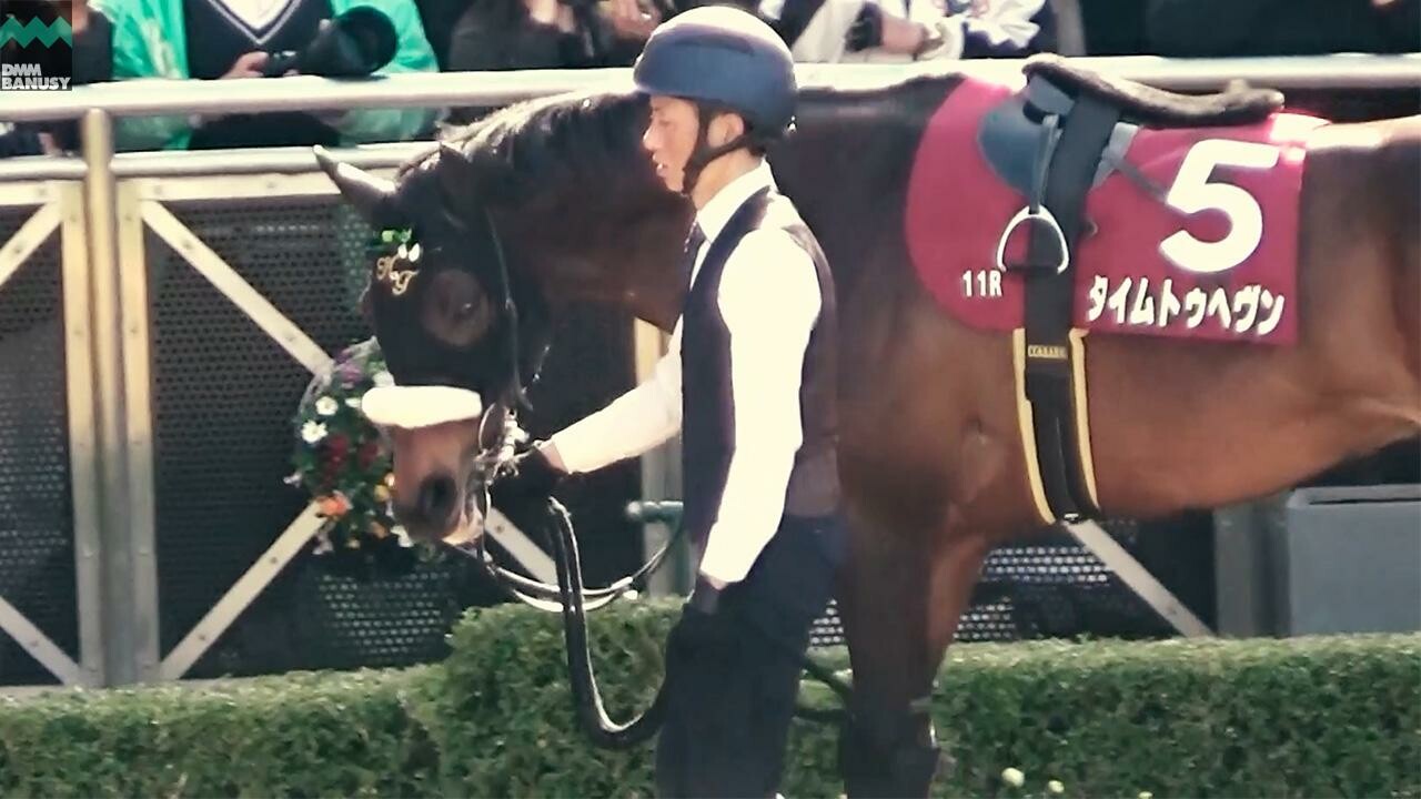 タイムトゥヘヴン 京成杯オータムハンデキャップの道のり