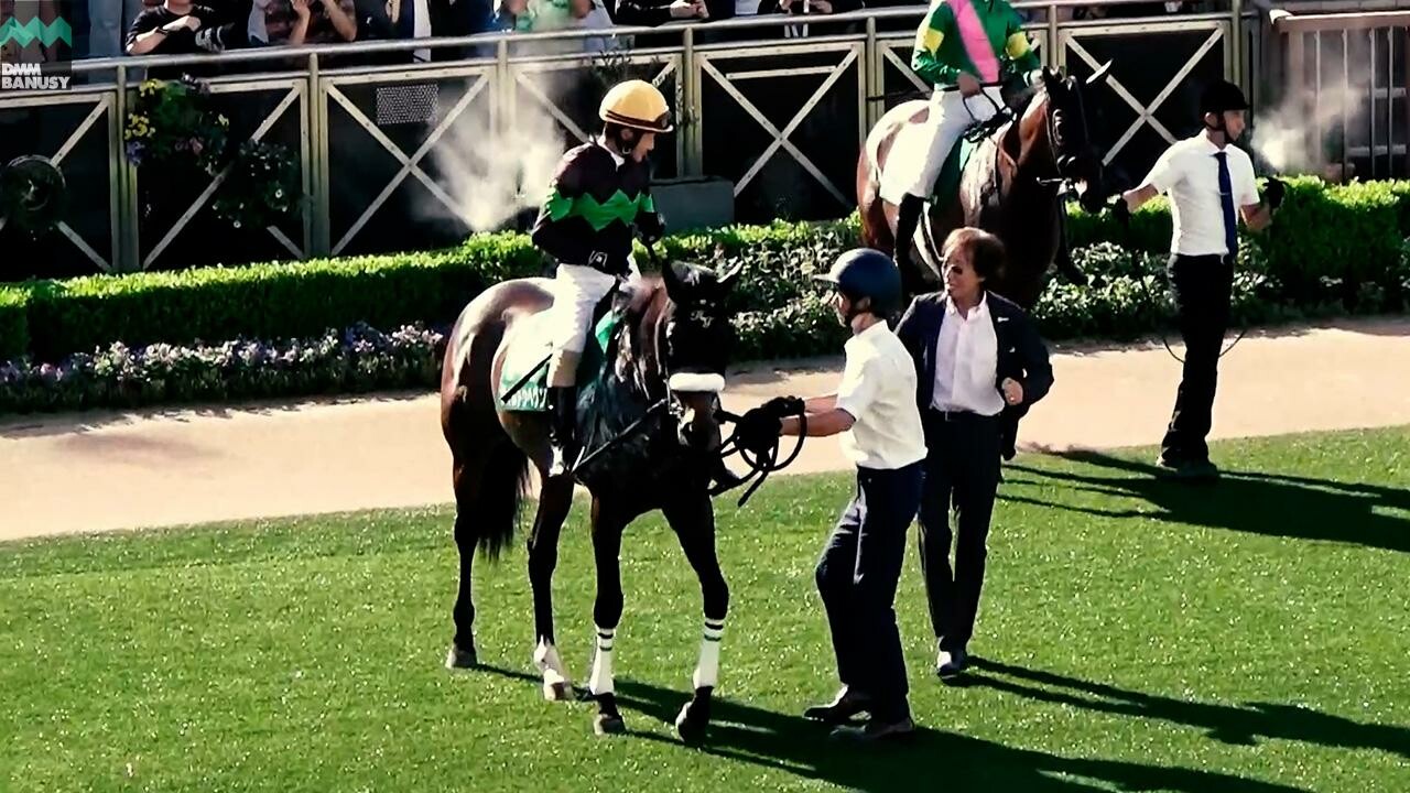 タイムトゥヘヴン スワンステークスまでの道のり