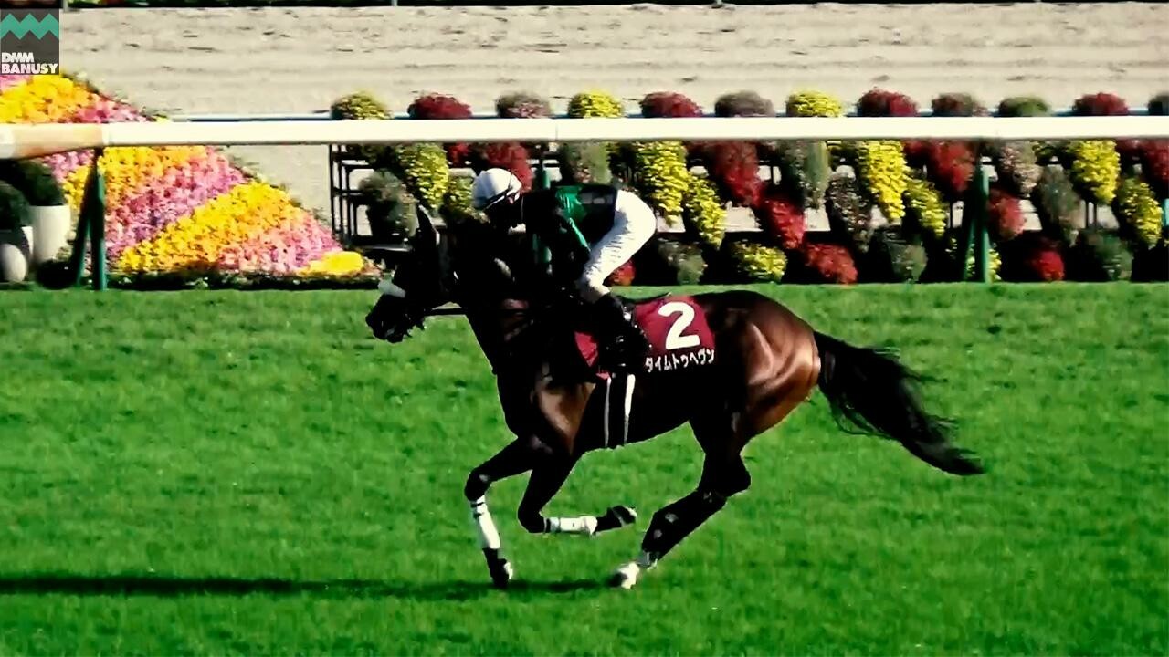 タイムトゥヘヴン 福島記念までの道のり