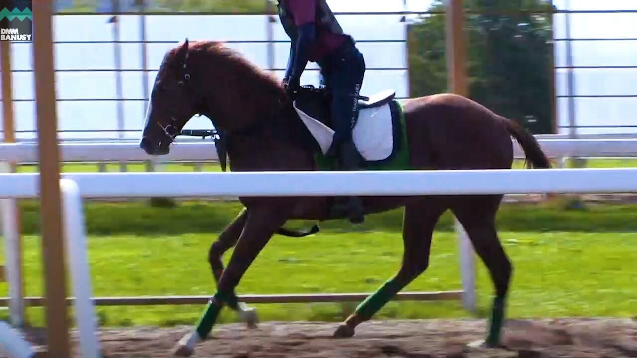 ラヴインザチャーム PV2019 Vol.2