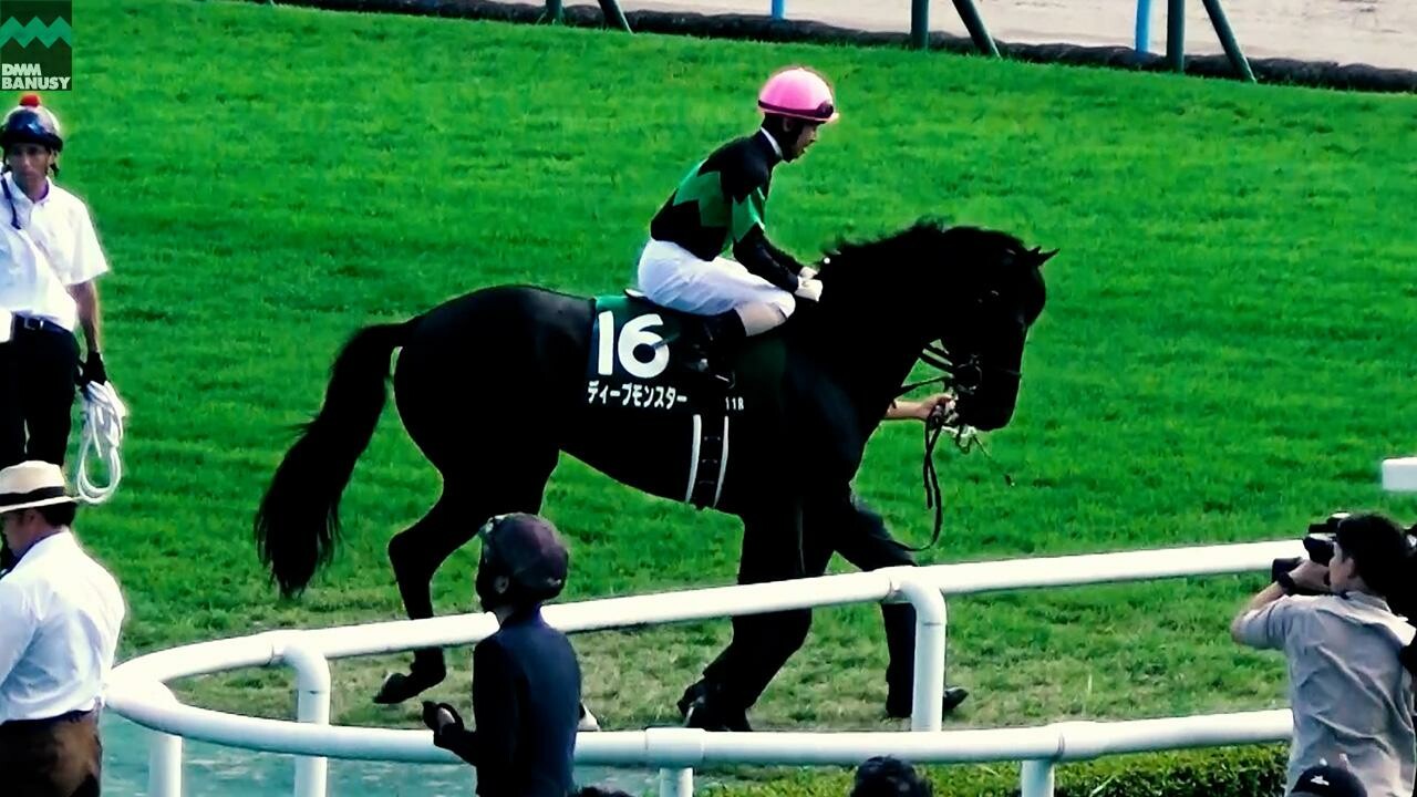 ディープモンスター 新潟記念までの道のり