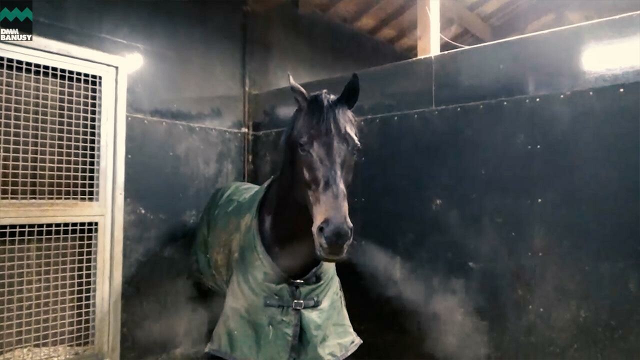 ディープモンスター アミールトロフィーまでの道のり