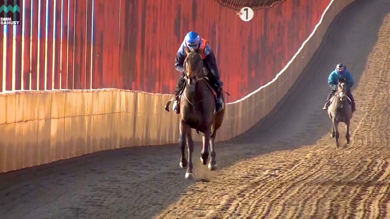 ネクサスハート デビューまでの道のり