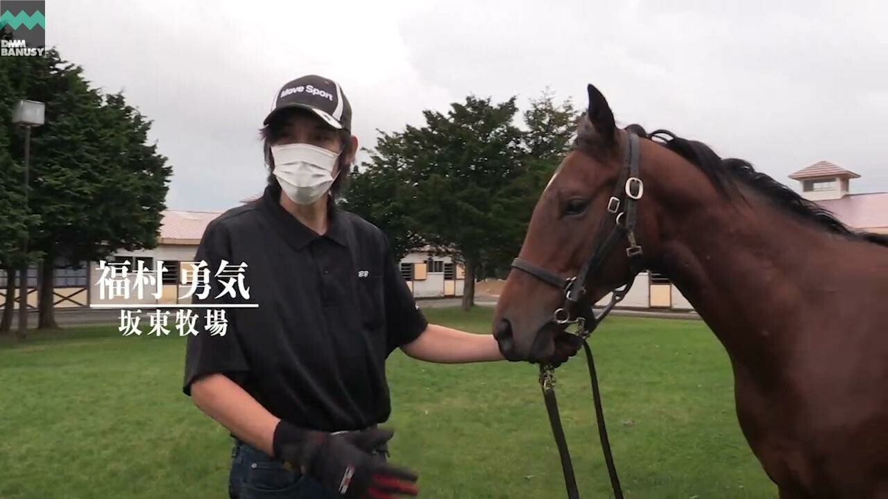 エールトゥヘヴン 2020/10/3撮影：坂東牧場現地視察