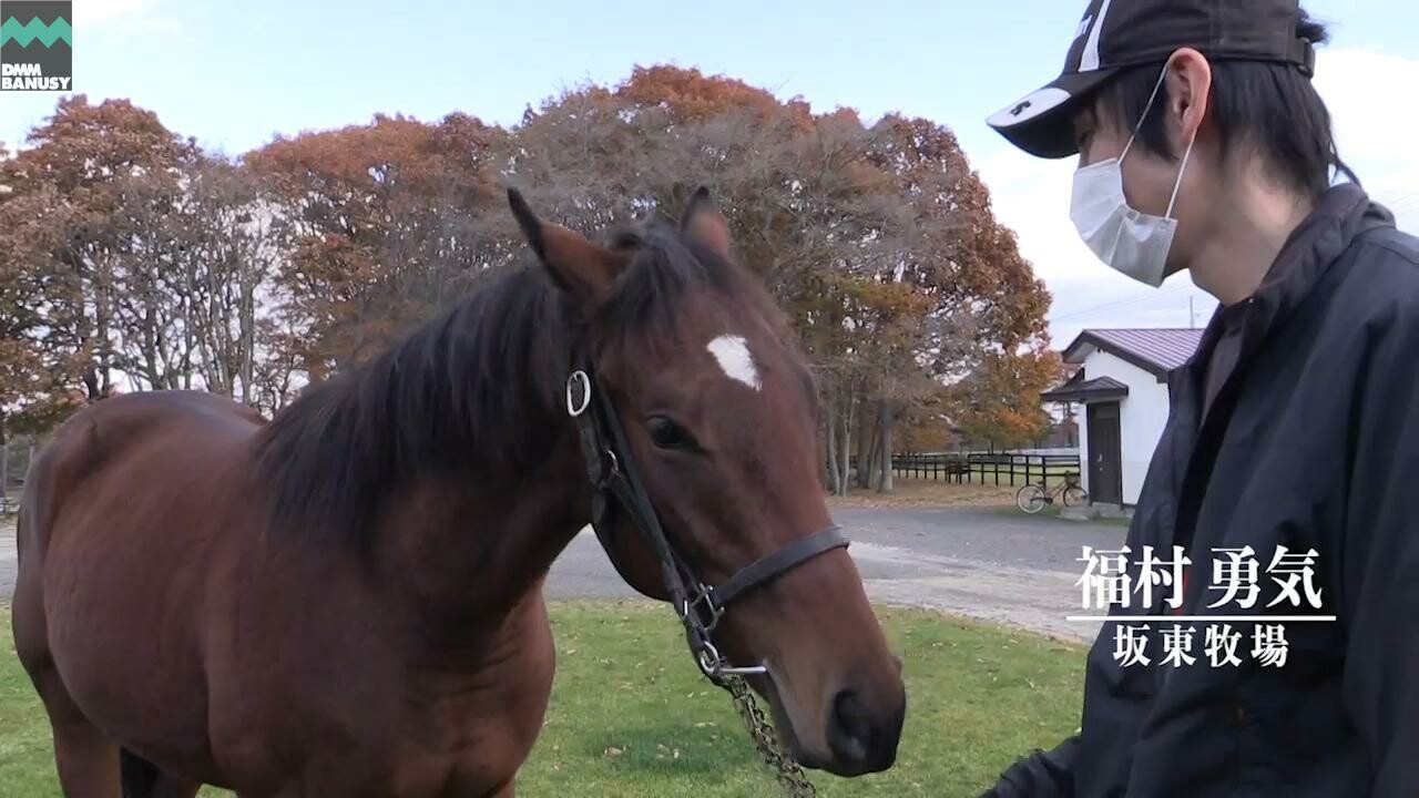 エールトゥヘヴン 2020/11/5撮影：坂東牧場現地視察