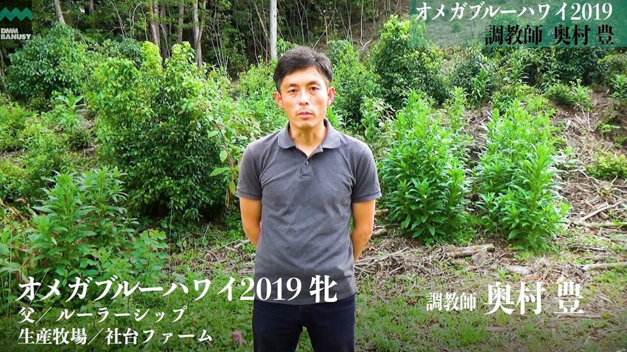 スージーテイラー 奥村豊調教師インタビュー