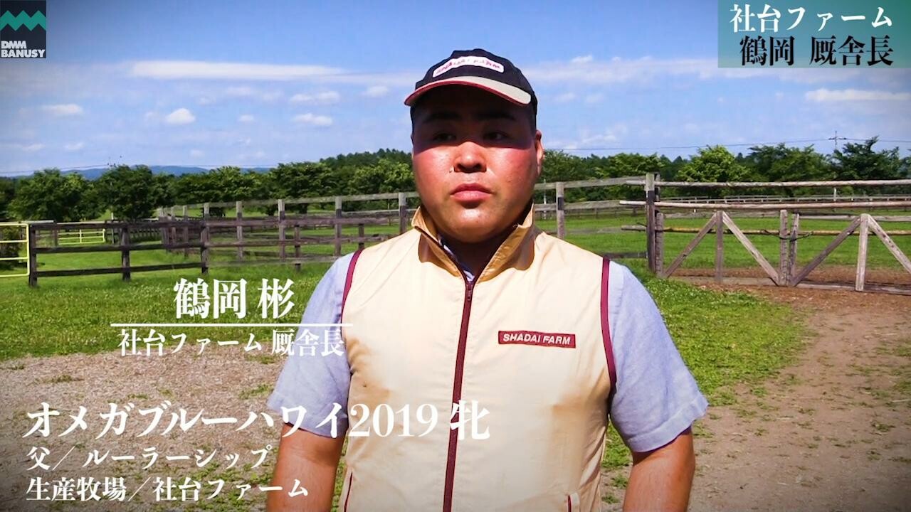 スージーテイラー 社台ファーム 鶴岡彬厩舎長インタビュー