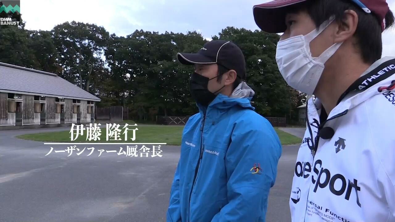 クロニクルノヴァ 2020/10/15撮影：ノーザンファーム現地視察