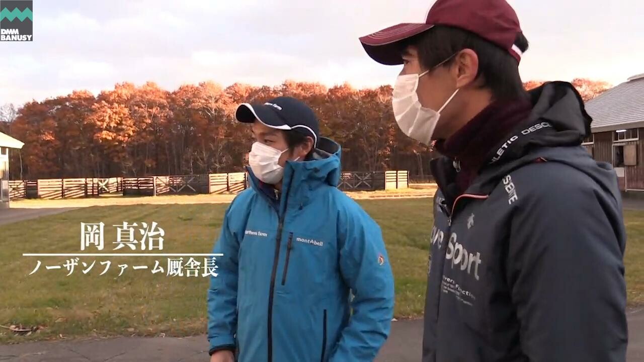 トゥザヒロイン 2020/11/4撮影：ノーザンファーム現地視察