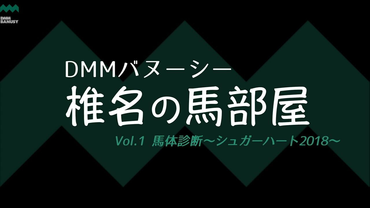 ネクサスハート 馬体診断 シュガーハート2018