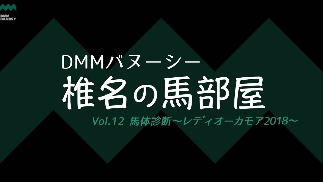 ヴァルキリードレス 馬体診断 レディオーカモア2018