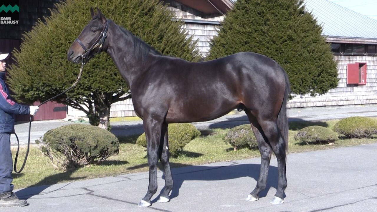 ネクサスハート 2019/11/22撮影:広報部長 米田さんインタビュー付