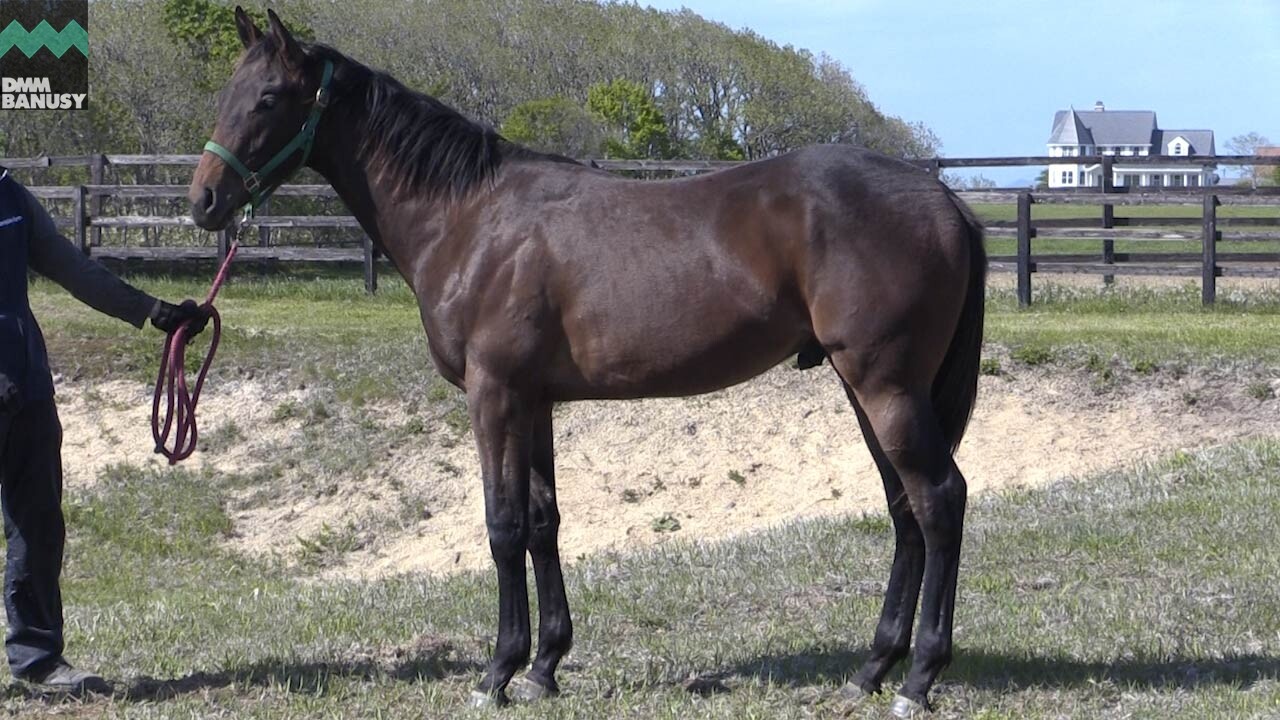 ネクサスハート 2019/5/30撮影:スタッフ 岩倉さんインタビュー付