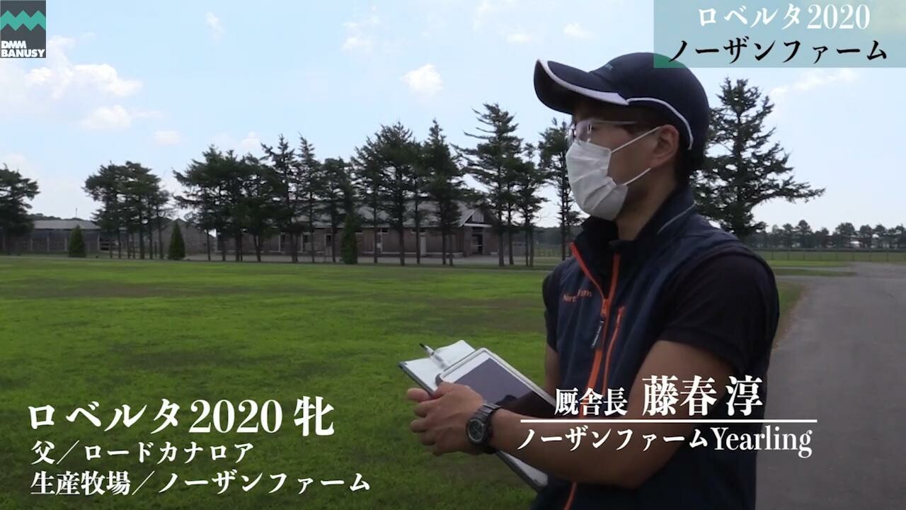 ロベリア 2021/8/6撮影：ノーザンファーム現地視察