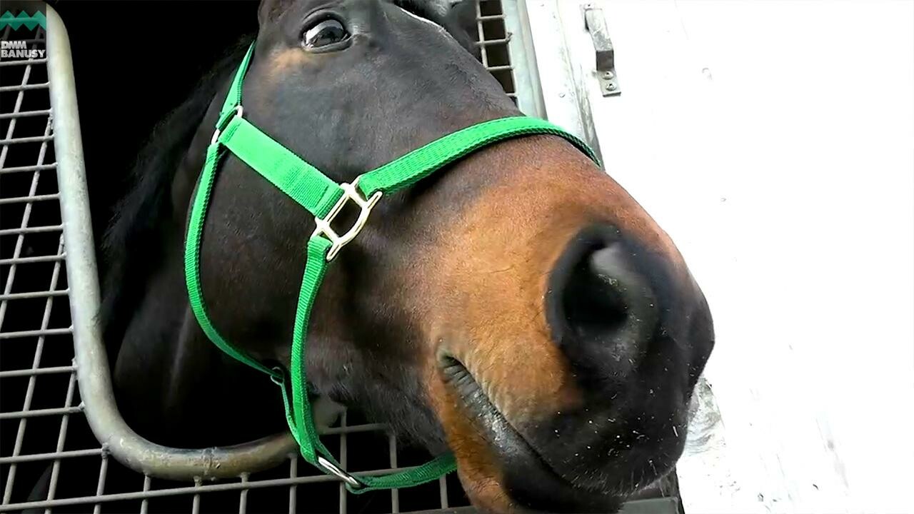 インサラー デビューまでの道のり