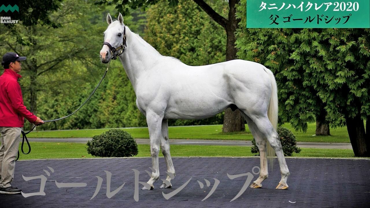 レジェンドシップ ビッグレッドファームスタリオン・主任 木村浩史氏インタビュー