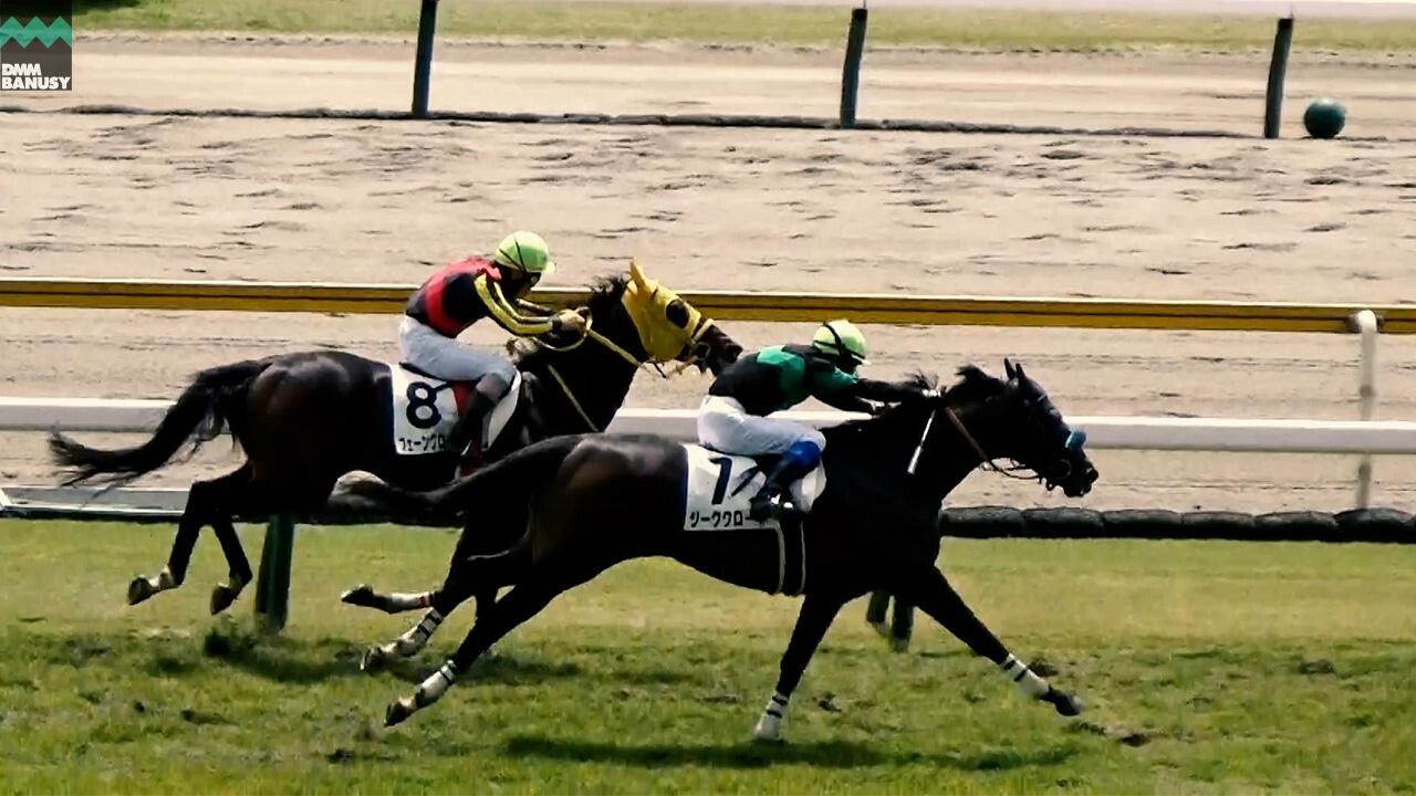 ジーククローネ 阪神ジャンプステークスまでの道のり