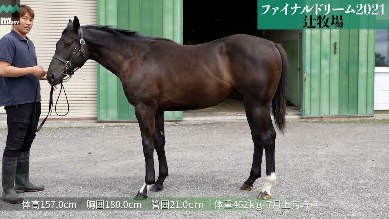 トラウムライゼ 7月9日撮影