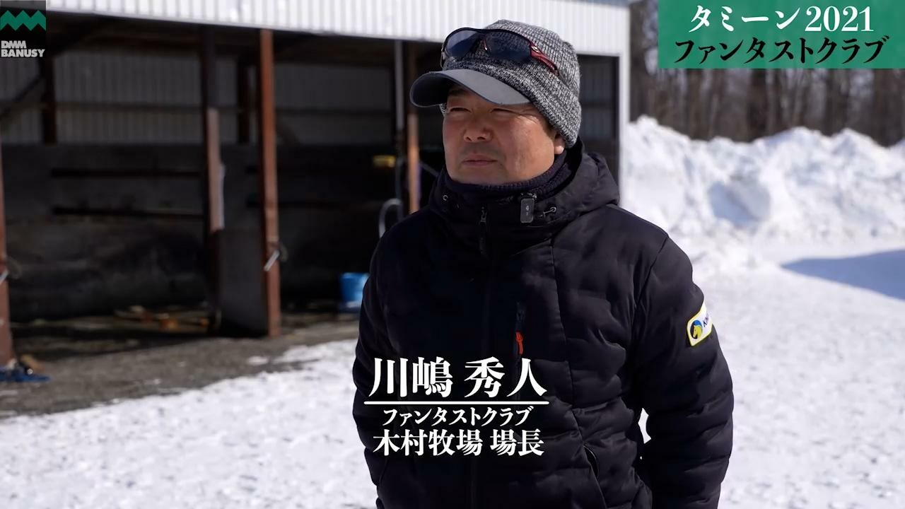 ベルファスト 2023/2/6撮影：ファンタストクラブ・木村牧場現地視察