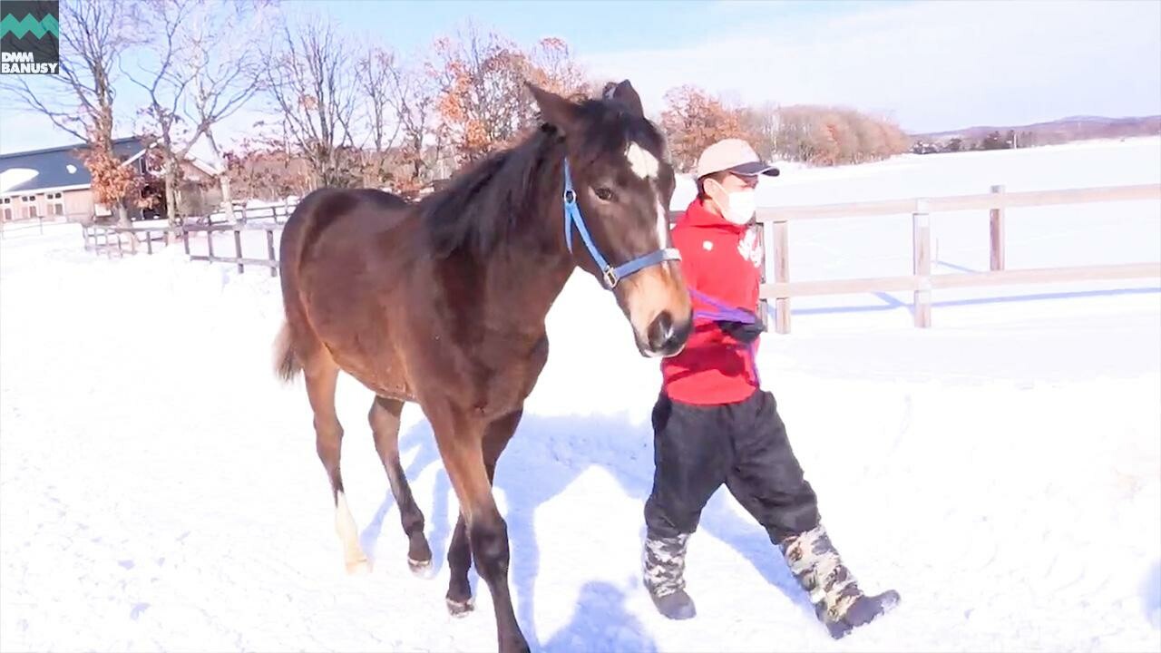 バスティオン デビューまでの道のり