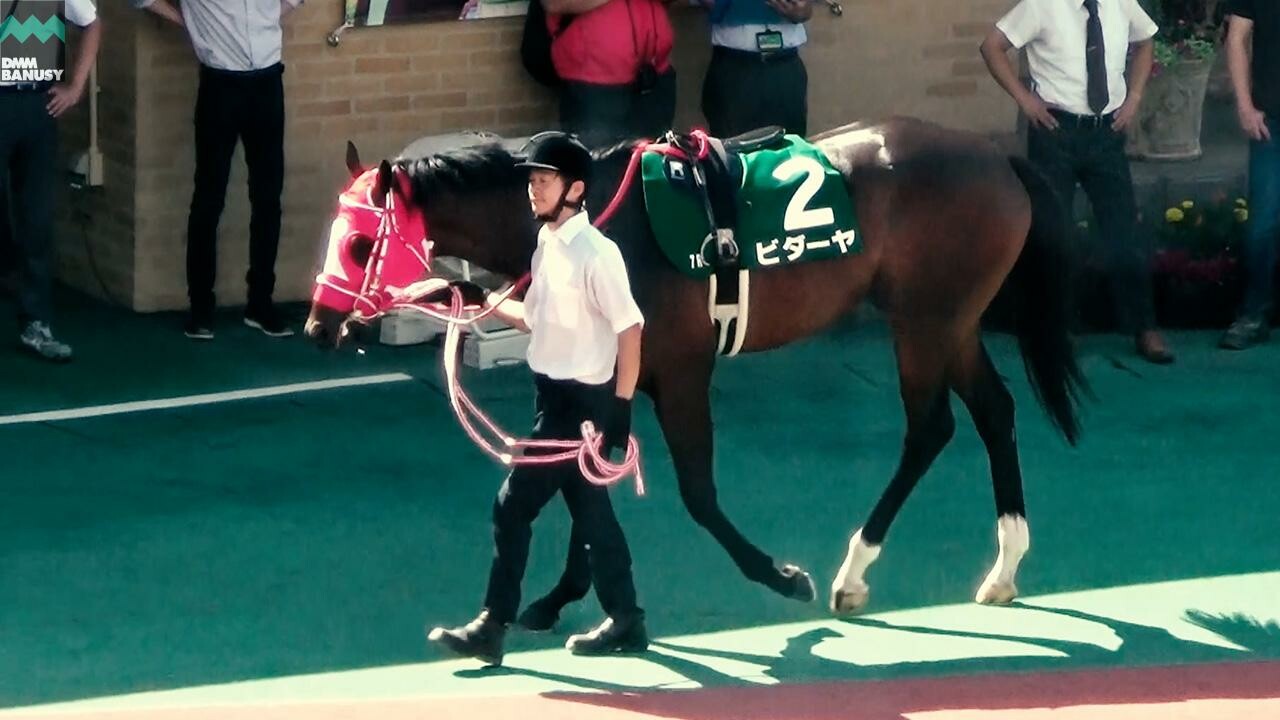 ビダーヤ 武蔵野ステークスまでの道のり