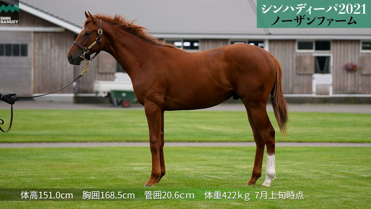 シンハナーダ 7月14日撮影