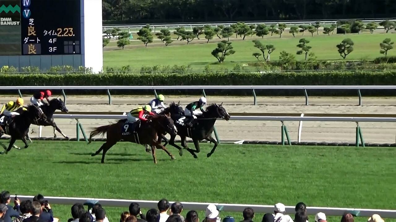 ウィープディライト 阪神大賞典までの道のり