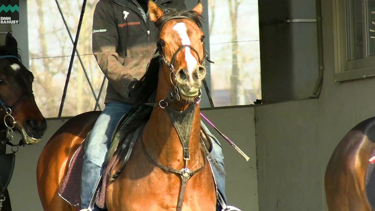 シャンパンポップ デビューまでの道のり