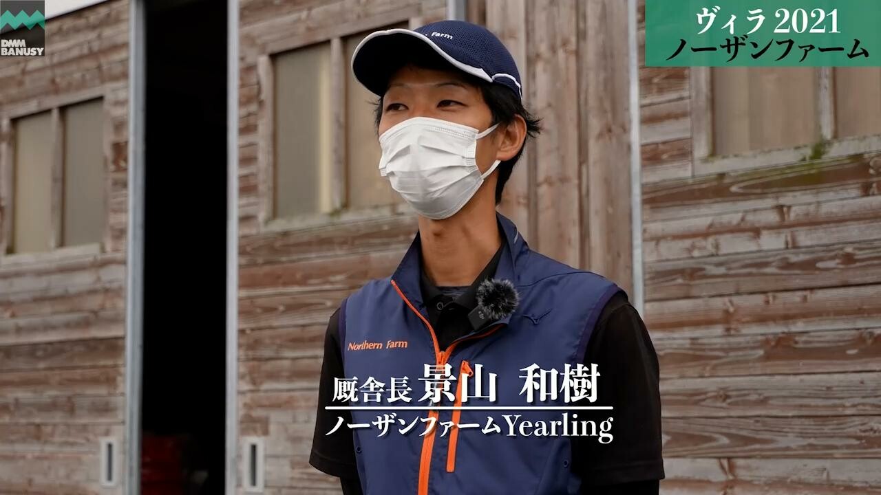 ベルウェザー 2022/9/5撮影：ノーザンファームYearling現地視察