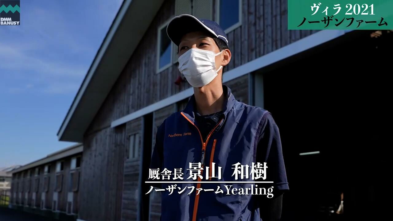 ベルウェザー 2022/9/28撮影：ノーザンファームYearling現地視察