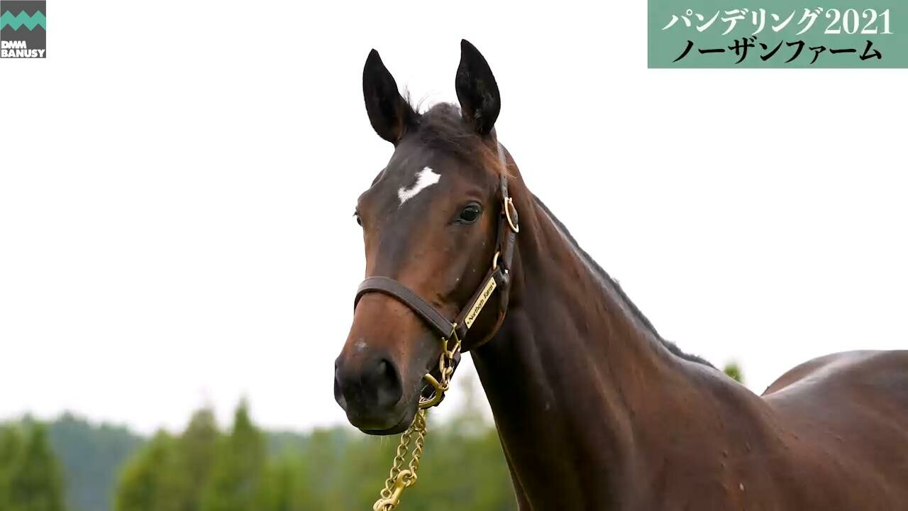 パンドジェーヌ 7月14日撮影　解説付きツアー風動画