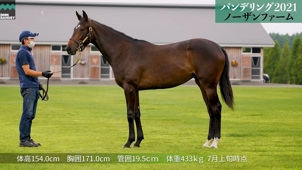 パンドジェーヌ 7月14日撮影