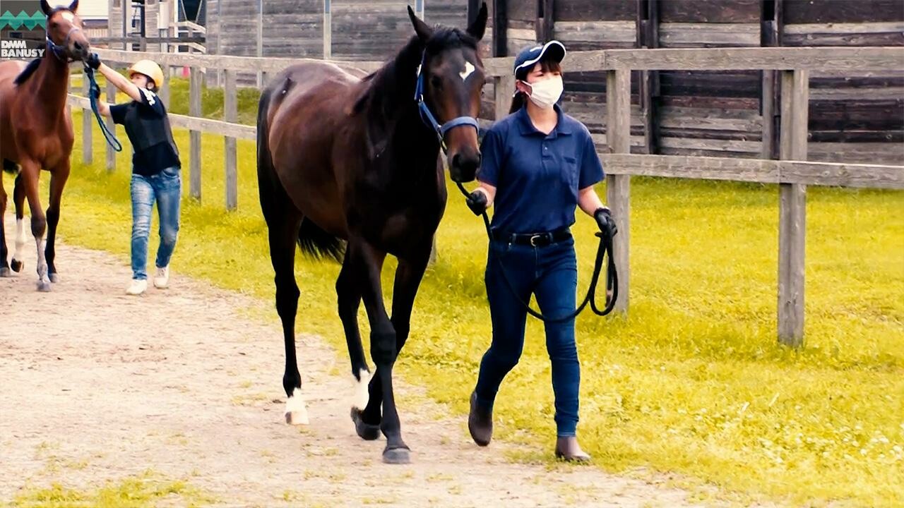 パンドジェーヌ PV2022