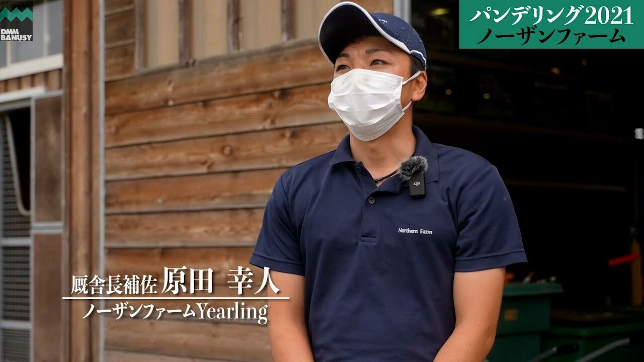 パンドジェーヌ 2022/8/13撮影：ノーザンファームYearling現地視察