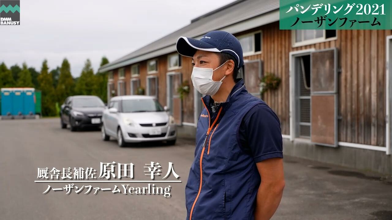 パンドジェーヌ 2022/9/5撮影：ノーザンファームYearling現地視察
