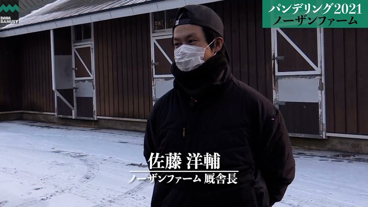 パンドジェーヌ 2022/12/12撮影：ノーザンファーム現地視察