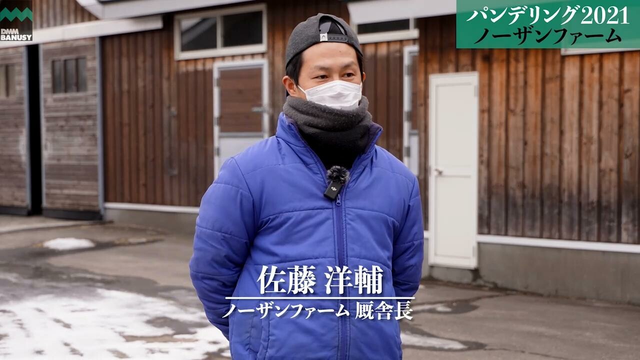 パンドジェーヌ 2023/1/9撮影：ノーザンファーム現地視察