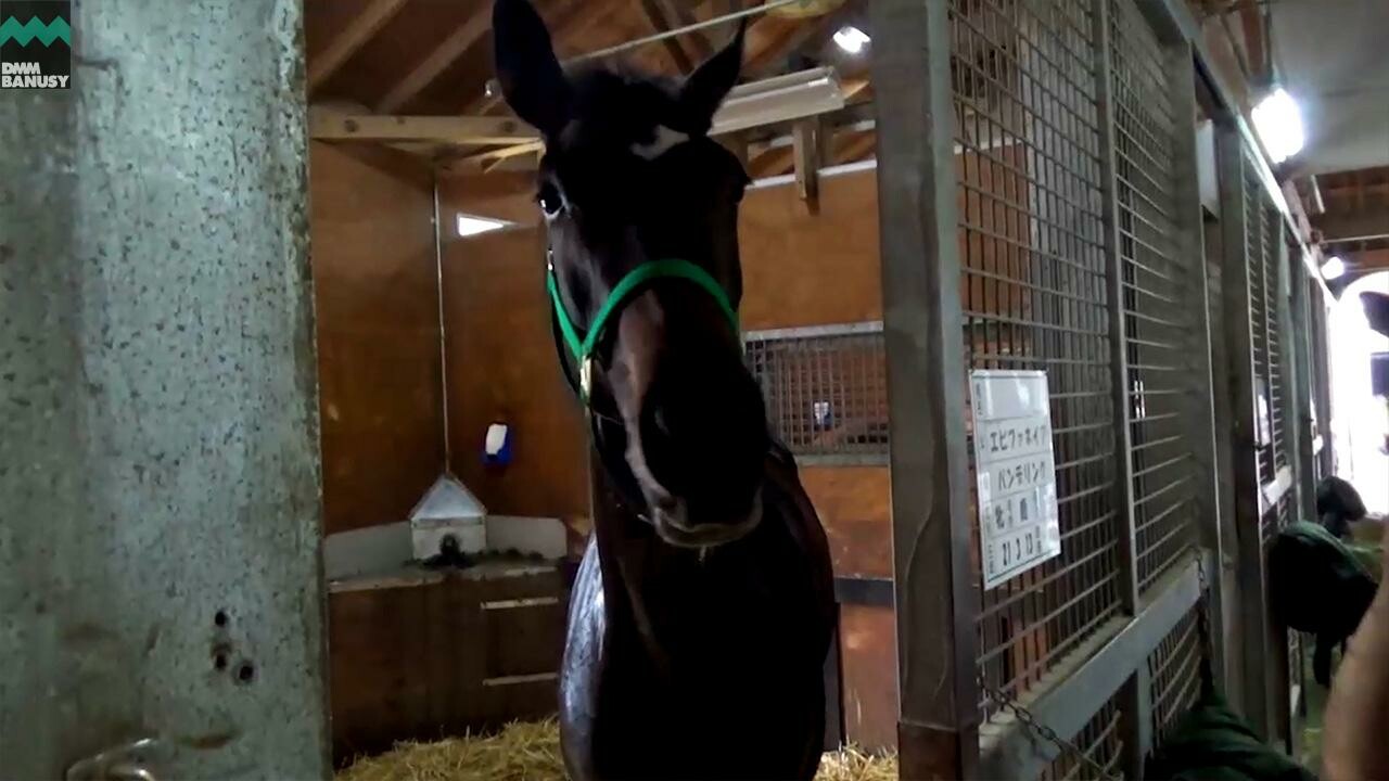 パンドジェーヌ デビューまでの道のり