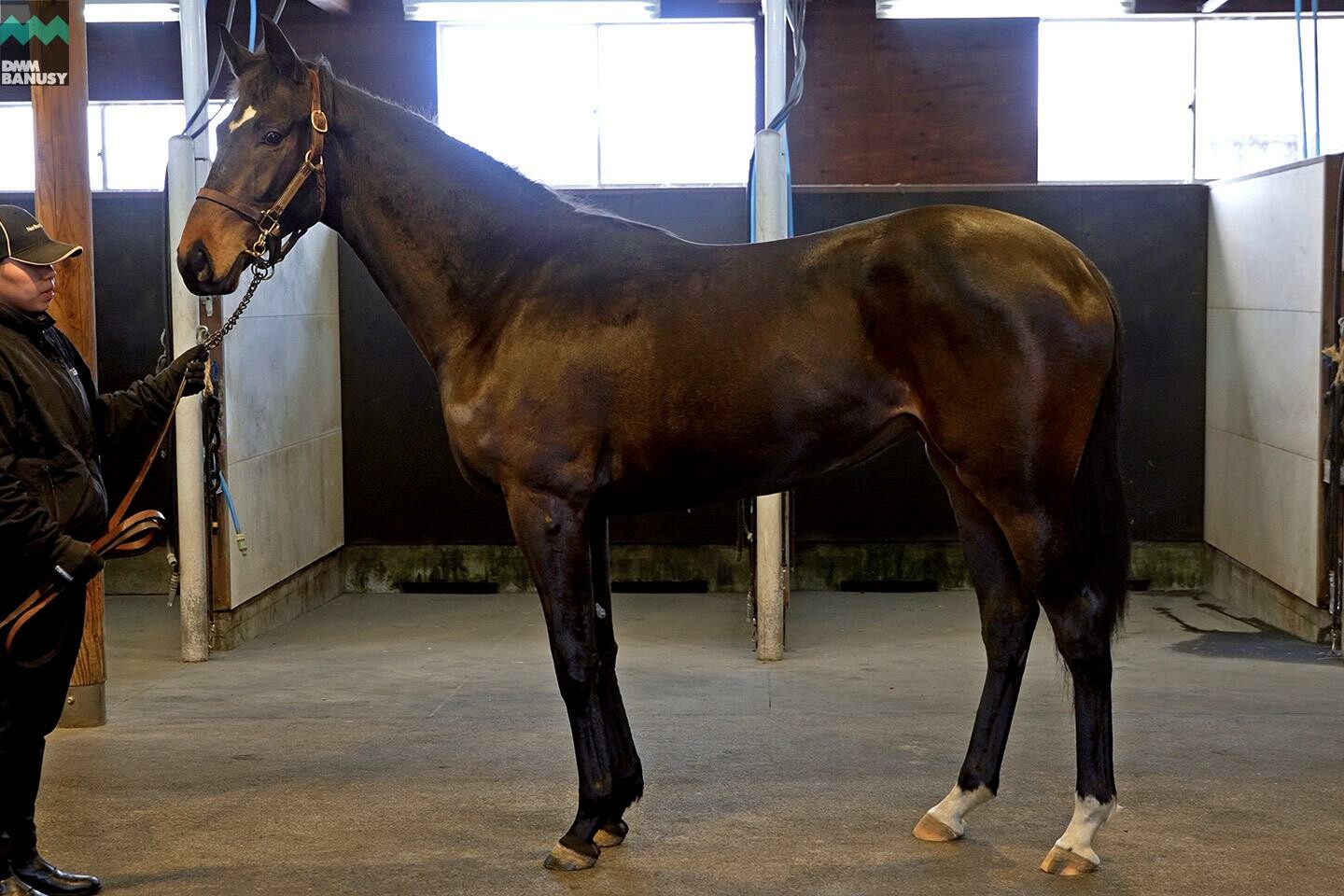 パンドジェーヌ 馬体フォト 2023/02/06