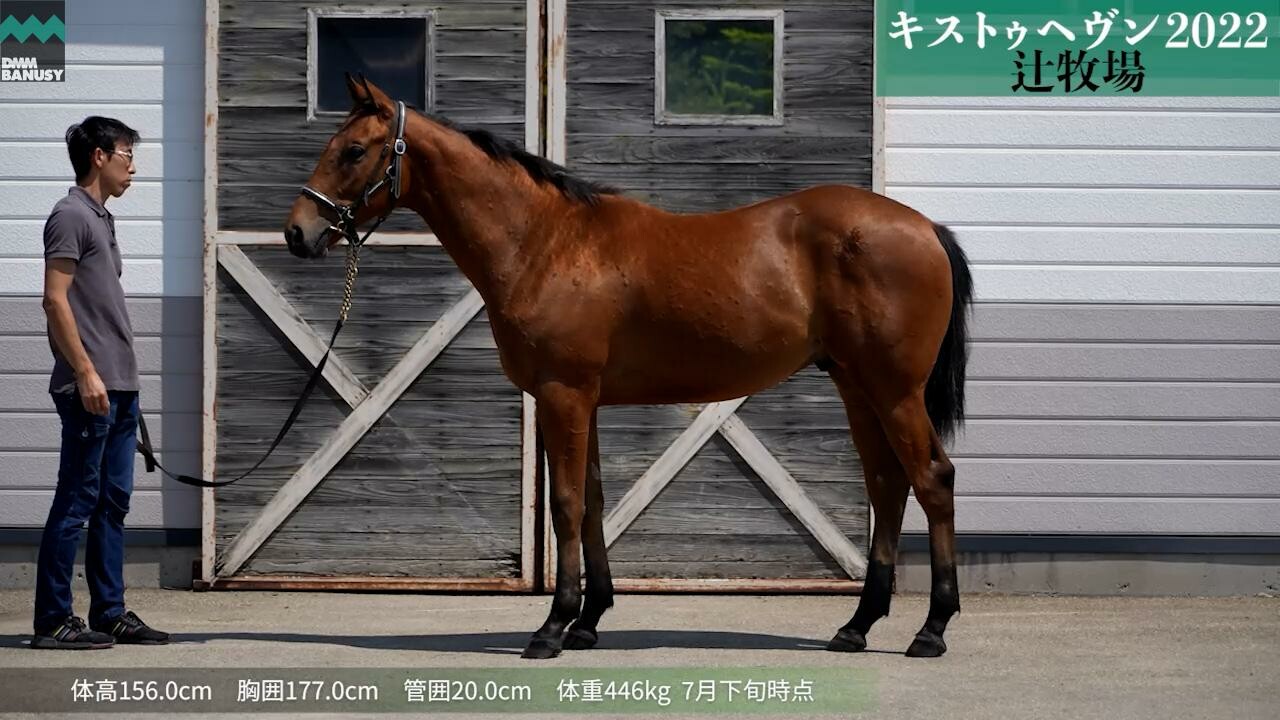 ヘヴンリーゴール 6月26日撮影