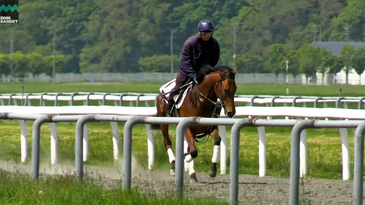 ヘヴンリーゴール デビューまでの道のり