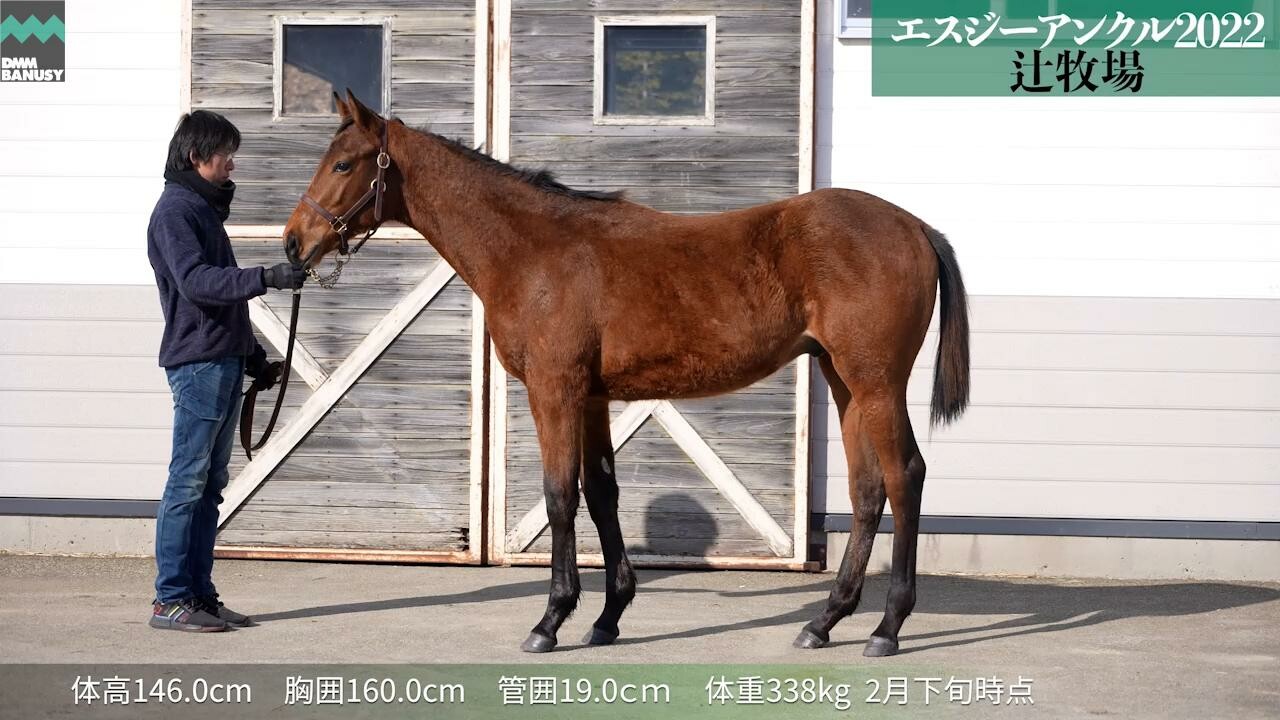 ペルティナクス 2月24日撮影