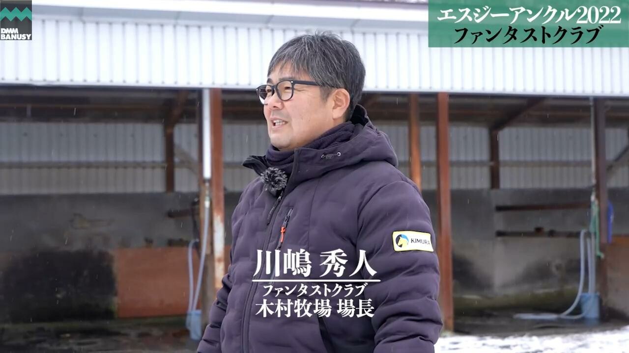 ペルティナクス 2023/12/16撮影：ファンタストクラブ・木村牧場現地視察